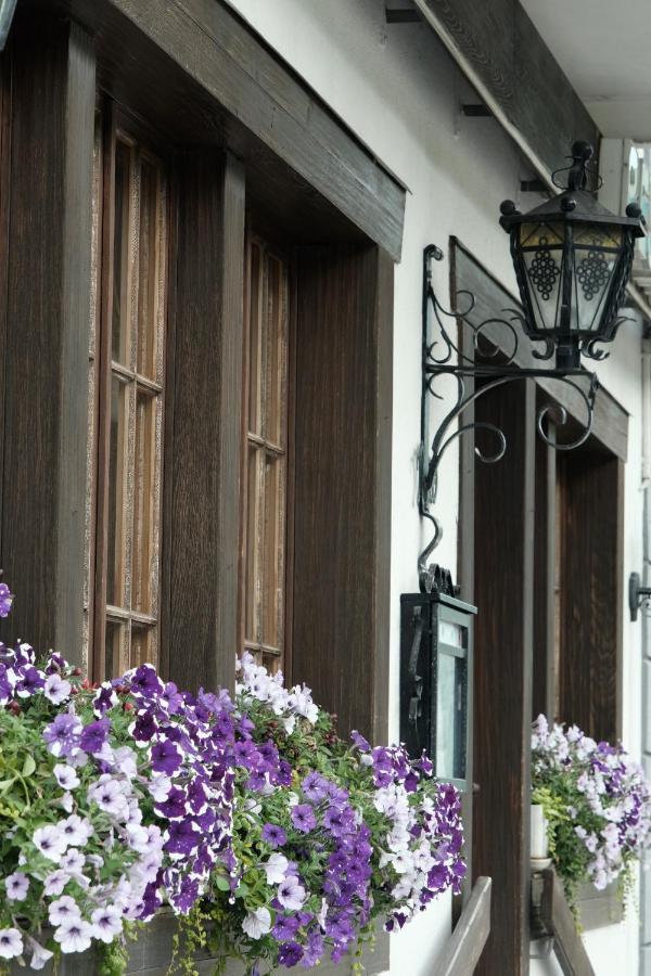 Hotel Tourist Meiringen Ngoại thất bức ảnh